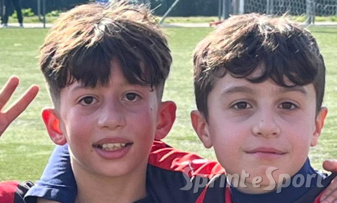 AFFORESE PULCINI &bull;