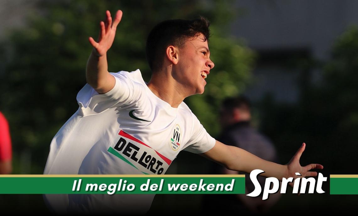 Gabriele Fulco, Vis Nova