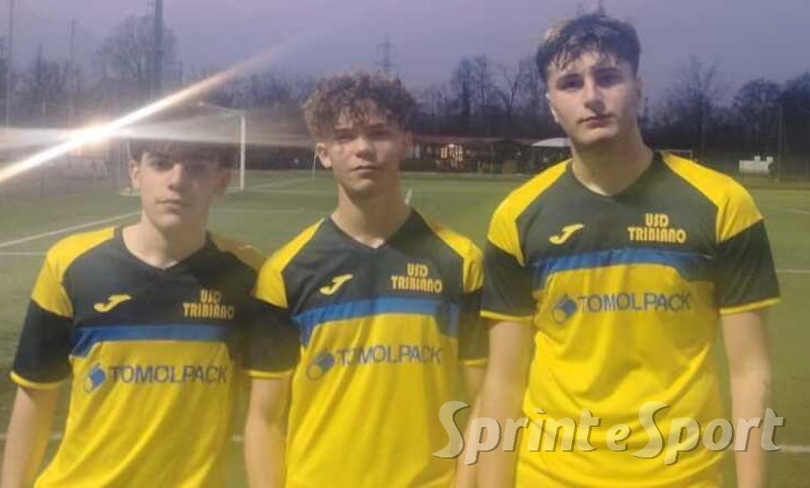 Omodei, Arrigoni e Ubaldini - TRIBIANO