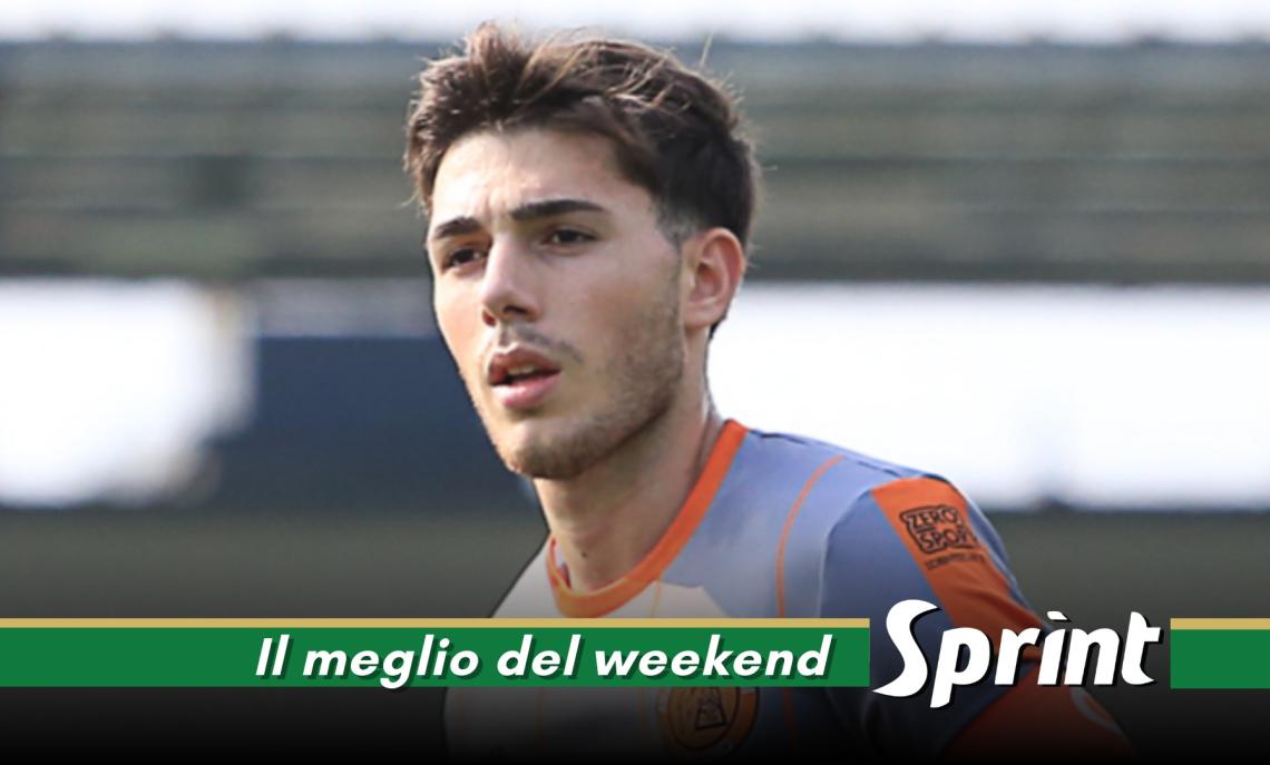 PROMOZIONE FRANCO SCARIONI &bull; Guglielmo D'Ovidio