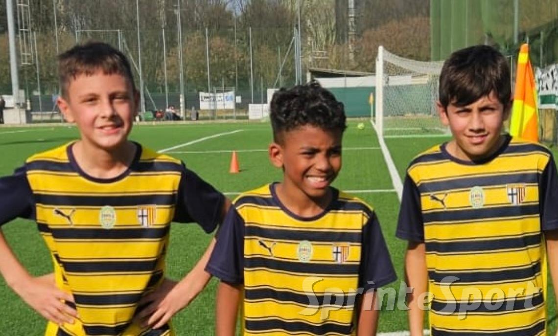 PULCINI BONOLA &bull;