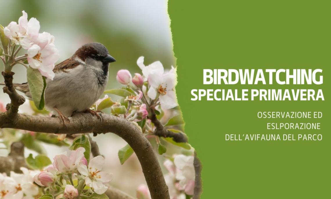 Birdwatching al Parco La Mandria