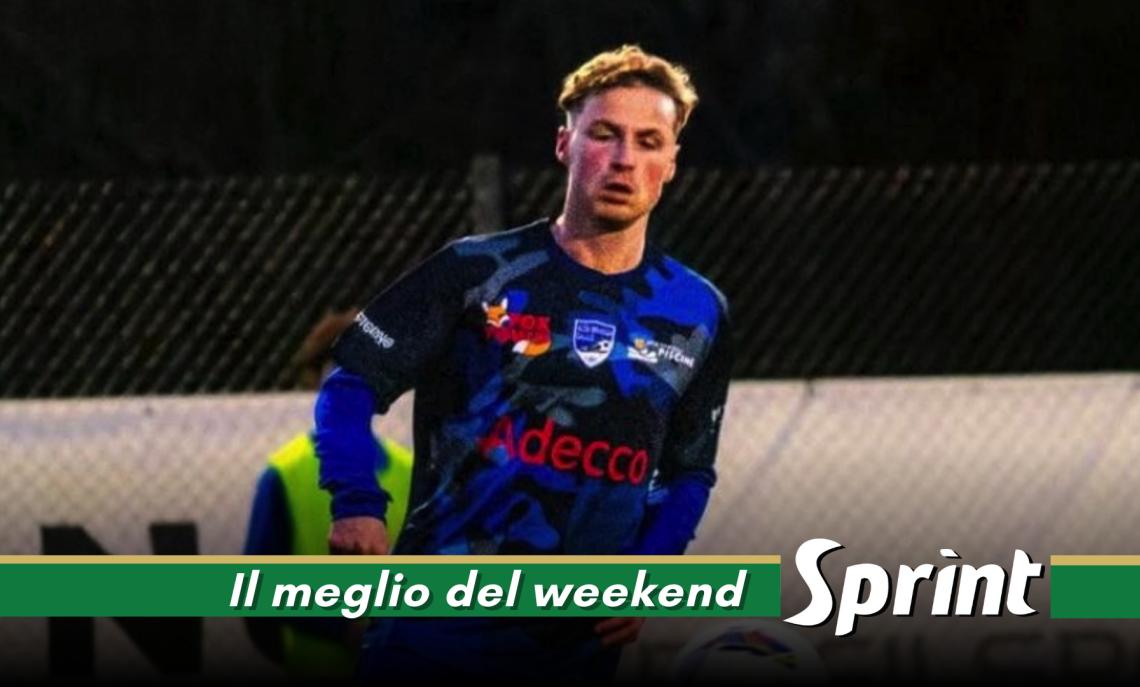 Citterio Altabrianza