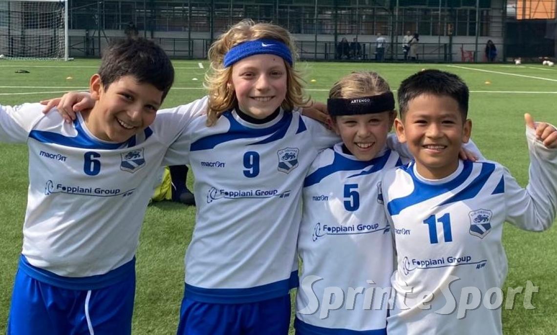 PULCINI B ORIONE &bull;