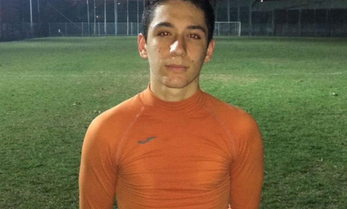 Andrea Cicoria, Alcione