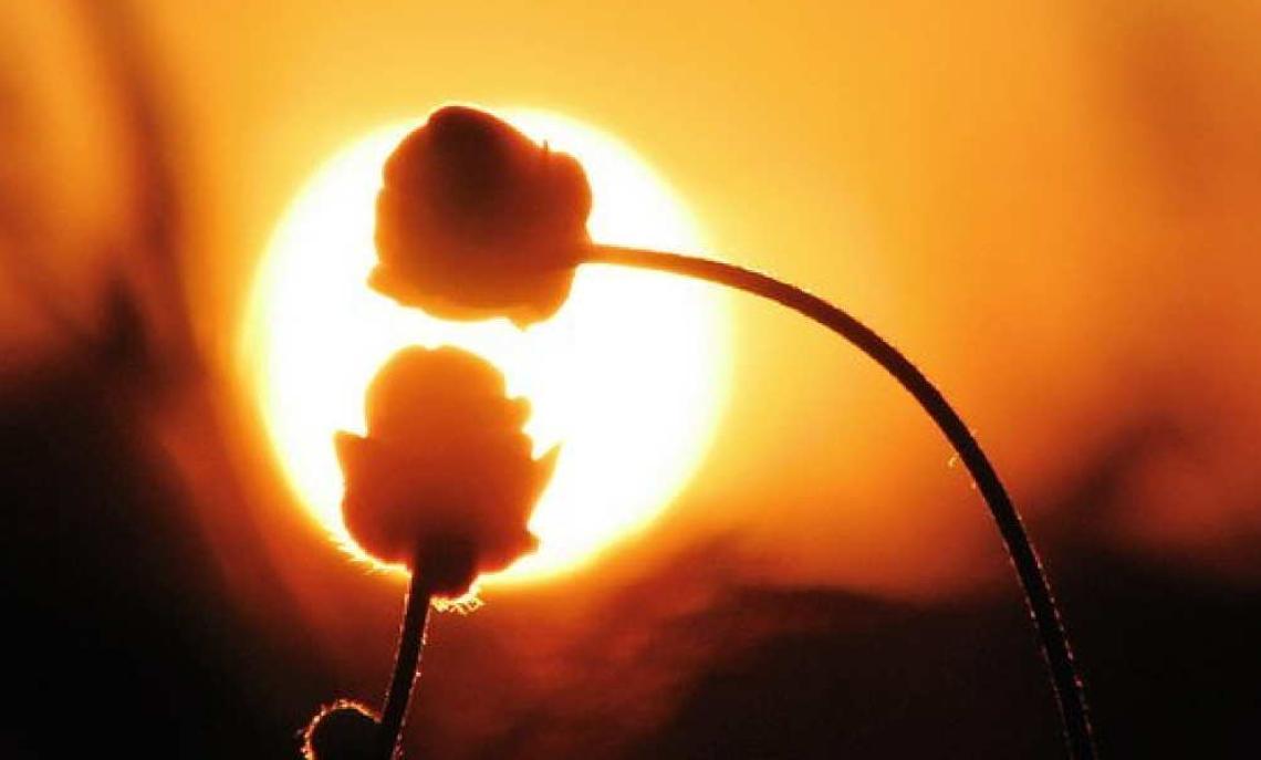 Lutto per il delegato di Ivrea Roberto Drago