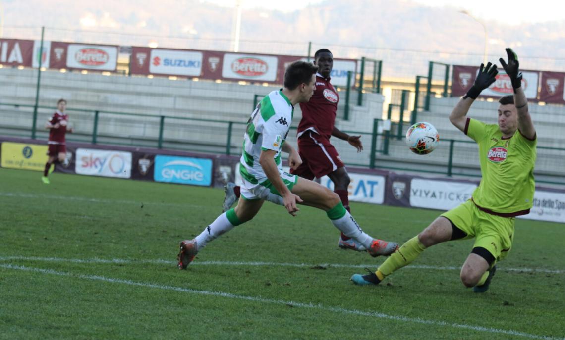 Lewis Torino Primavera