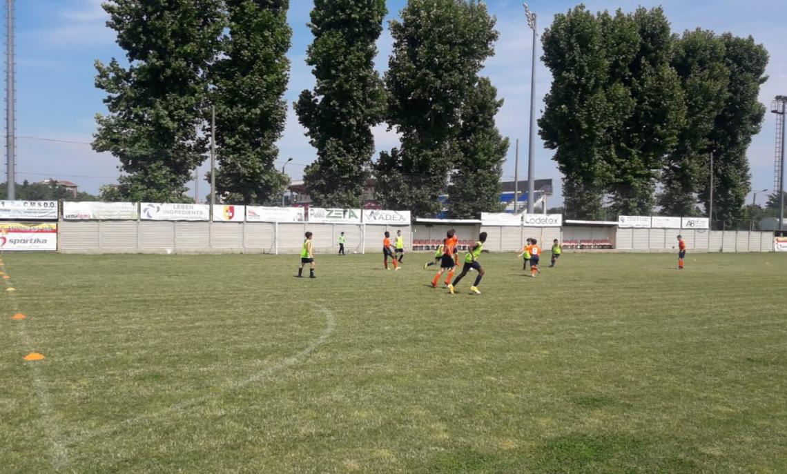 Antoniana-Accademia BMV