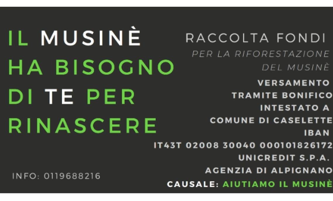 Il Caselette sostiene la riforestazione del Musinè