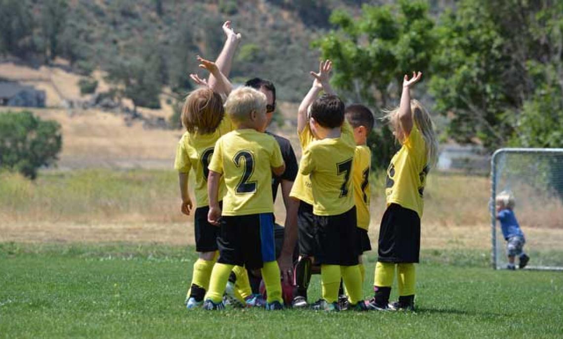 Piccoli amici Torino