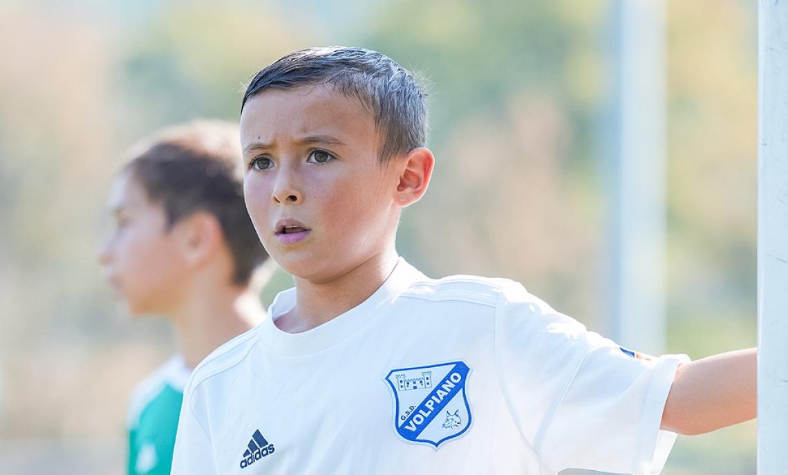 organici attività di base