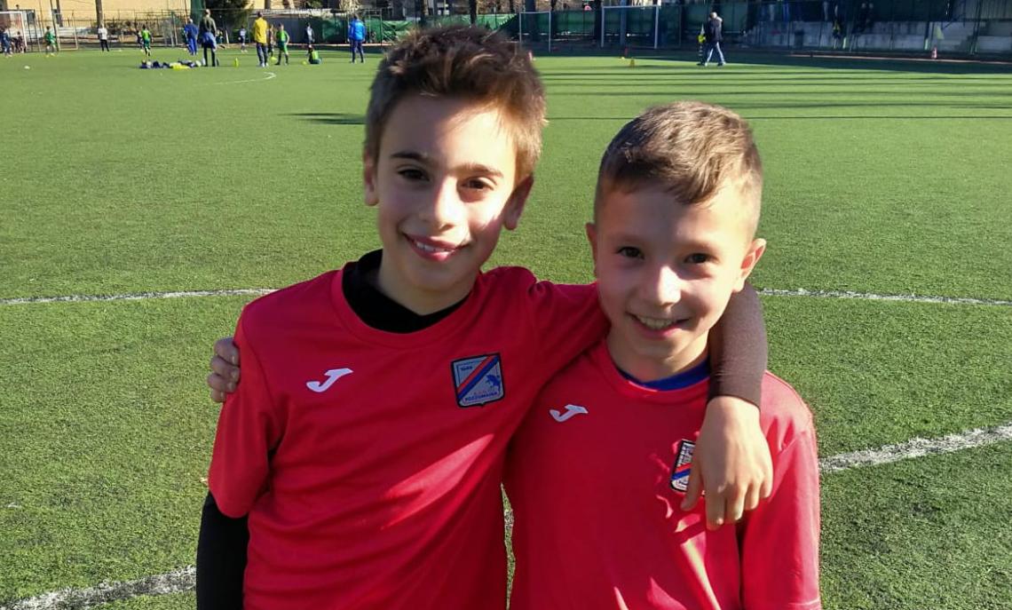 pulcino pozzomaina 2012