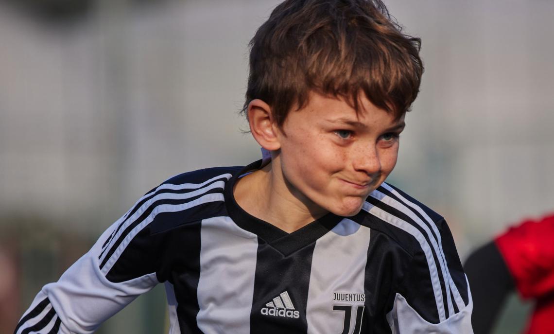 Organici Attività di Base: il primo passo verso l'inizio della fase autunnale