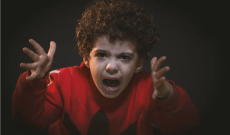 Gli 'automatismi' e la fisiobiologia della mente umana: emozioni e reazioni