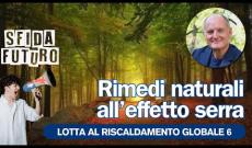 Qual è il momento migliore per piantare un albero?