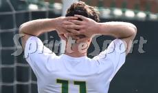 CALCIO GIOVANILE PIEMONTE GIUDICE SPORTIVO