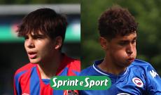 Carulli e Jurkic; Enotria e Aldini