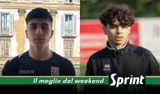 Gattas Leone XIII Mucedola Vis Nova