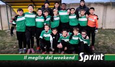 Esodienti misti, Pecetto