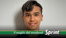 Alessandro Bernardi - Sempione