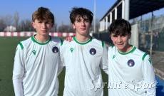 Gambelli, Rottoli e Curti