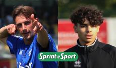 Mezsargs Como Mucedola Rapp