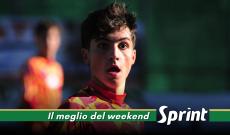 ECCELLENZA PIEMONTE NEWS