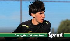 PROMOZIONE PIEMONTE NEWS