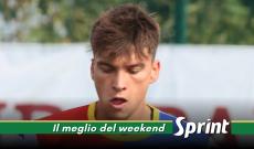 Grillo Ardor Lazzate