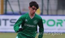 Niccol&ograve; Gigli, Vis Nova