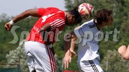 La gioia e la grinta di Paolin e compagni: galletti a cresta altissima