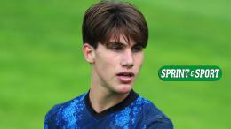 Capolavoro Cristian Chivu, l'Inter &egrave; campione d'Italia per la decima volta