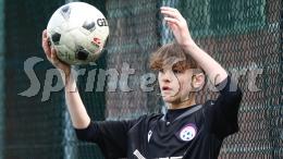 Lucento-Mannarino: addii amari, Alpignano alla finestra