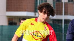 Pavone con le chiavi della mediana: la probabile formazione dei collinari