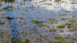 Allerta meteo Piemonte: ecco i campi che rischiano di più i rinvii