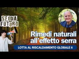 Qual è il momento migliore per piantare un albero?