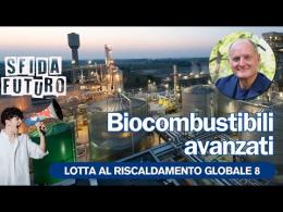 La pecora è un animale che ci fornisce un doppio alimento e le cose non interferiscono tra di loro