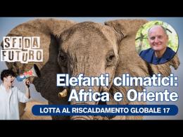 Elefanti climatici nella stanza dei bottoni: ostacoli geopolitici alla lotta contro il riscaldamento globale