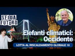 Elefanti climatici: le sfide delle politiche energetiche nazionali dopo la COP 28 a Dubai
