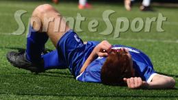 Assicurazioni per le società: tutto l'indispensabile da sapere