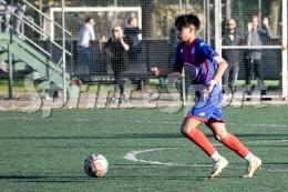 Le neopromosse sfornano talenti, la difesa è un muro e l’attacco è un mix esotico