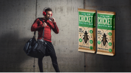 Insetti: cibo alternativo del futuro, anche nello sport