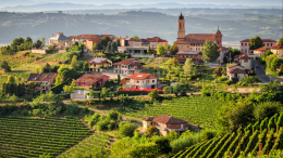 Le Langhe: guida essenziale per un viaggio tra vino, colline e tradizioni
