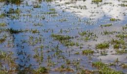 Allerta meteo nella Regione, a rischio il Torneo Internazionale e persino un match di Serie A