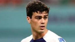 A 17 anni fece impazzire l'Europa, ora è messo ai margini dal suo club e per rinascere potrebbe approdare in Italia