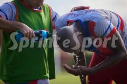 Beffati come il Napoli in Champions League: fanno 11 punti, ma arrivano terzi e vengono eliminati