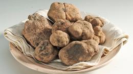 Alba celebra il Tartufo Bianco: al via la 95ª Fiera Internazionale