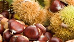 Festa dei Biligòcc: Castegnone apre le sue corti al gusto e alla memoria