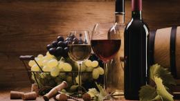 La Vendemmia a Torino e Portici Divini: il Piemonte del vino in una grande festa diffusa