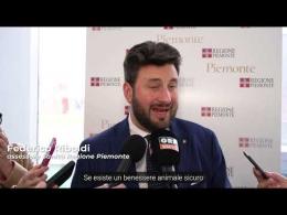 Numeri positivi per i Servizi di prevenzione nel 2025